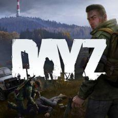 DayZ