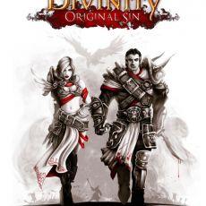 Divinity: Original Sin