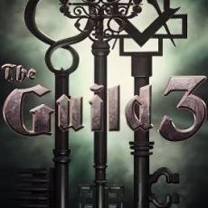 The Guild 3