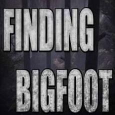 Finding Bigfoot