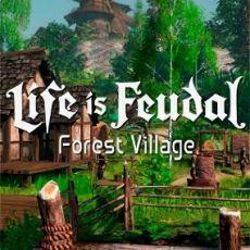 Life is Feudal: Forest Village