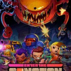 Enter the Gungeon