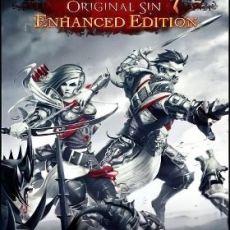 Divinity Original Sin