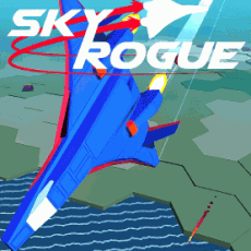 Sky Rogue