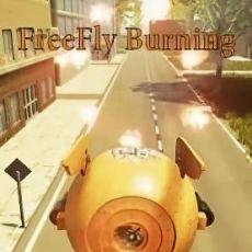 FreeFly Burning