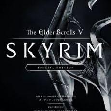 The Elder Scrolls 5 Skyrim