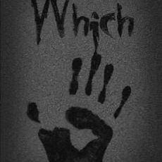 Which