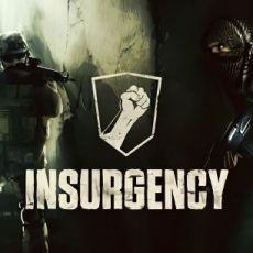 Insurgency