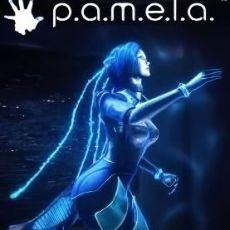 P.A.M.E.L.A.