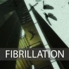 Fibrillation