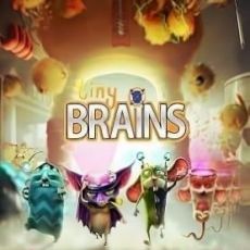 Tiny Brains
