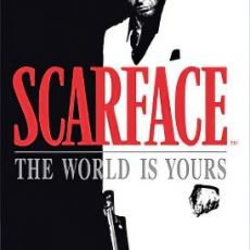 Scarface The World is Yours