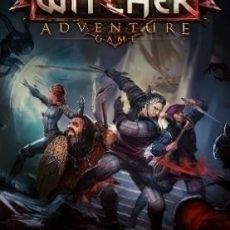 The Witcher Adventure Game