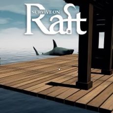 Survive on Raft