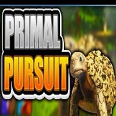 Primal Pursuit