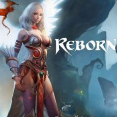 Reborn Online