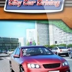City Car Driving