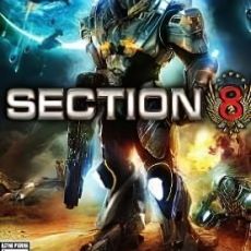 Section 8