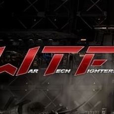 War Tech Fighters