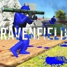 Ravenfield