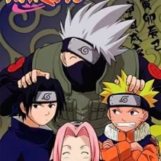 Naruto: Naiteki Kensei