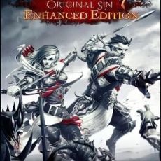 Divinity Original Sin