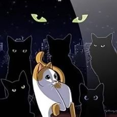 The Purring Quest