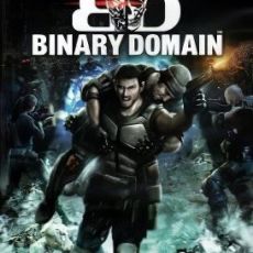 Binary Domain