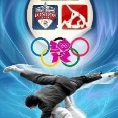 3D Judo Fighting