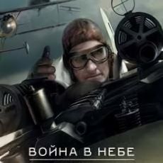 Война в небе — 1917