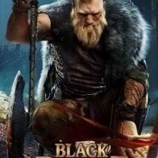 Black Desert