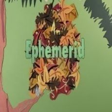 Ephemerid: A Musical Adventure
