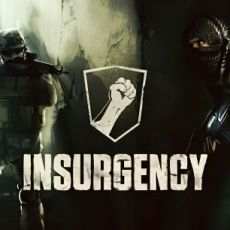 Insurgency