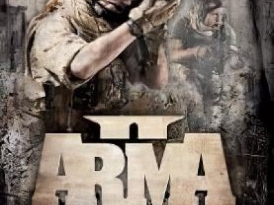 Arma 2: Reinforcements